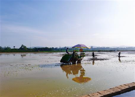 千畝“瘦地”變“肥田”丨石碑坪“旱改水”項(xiàng)目出成效，助力鄉(xiāng)村振興